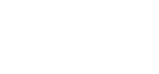 title-gemini